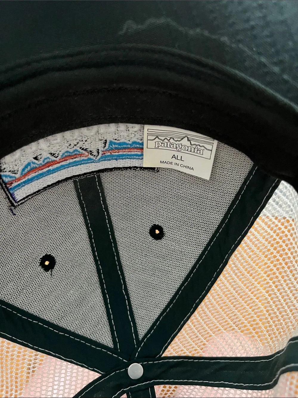 Patagonia Green Front with White Mesh Trucker Hat